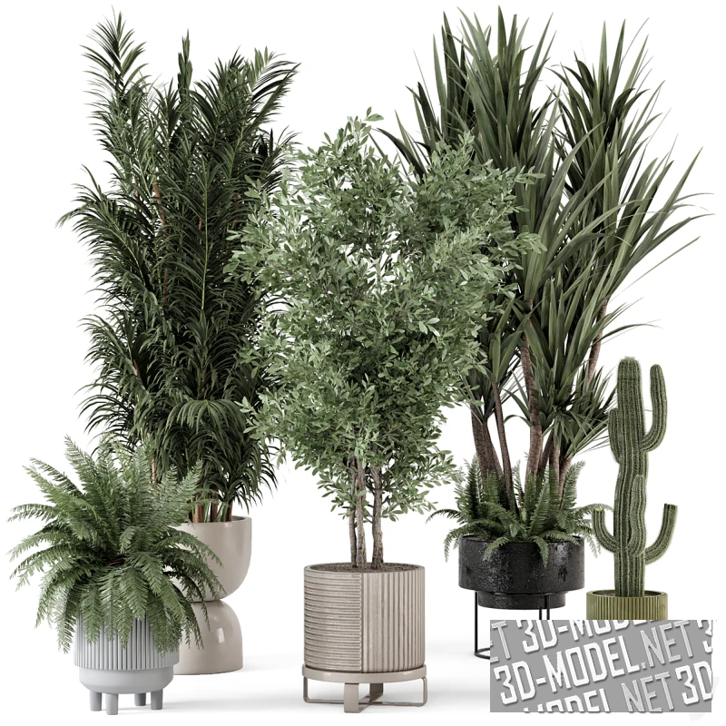 Комнатные растения в большом горшке от Ferm Living Bau