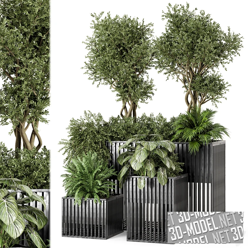 Экстерьерные растения в металлических горшках