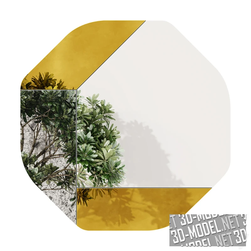 Зеркала WG.C1.B (Wrong Geometries)